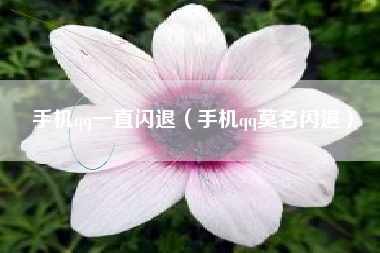 手机qq一直闪退（手机qq莫名闪退）