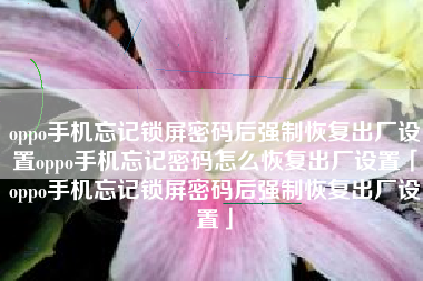 oppo手机忘记锁屏密码后强制恢复出厂设置oppo手机忘记密码怎么恢复出厂设置「oppo手机忘记锁屏密码后强制恢复出厂设置」