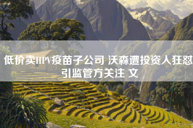 低价卖HPV疫苗子公司 沃森遭投资人狂怼 引监管方关注 文