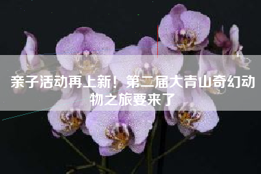 亲子活动再上新！第二届大青山奇幻动物之旅要来了