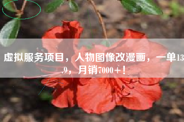 虚拟服务项目，人物图像改漫画，一单13.9，月销7000+！
